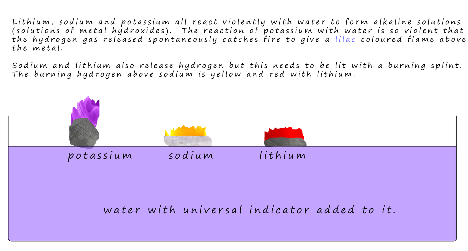 alkali metals reacting with water